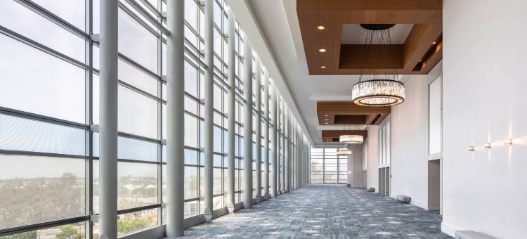 洛杉矶丽思卡尔顿酒店(The Ritz-Carlton, Los Angeles)图片