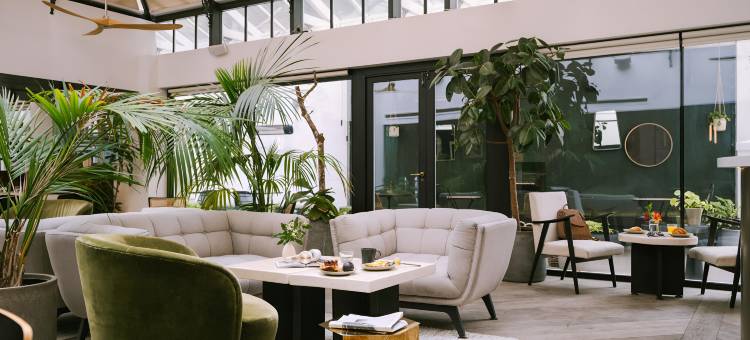 松德尔切尔西绿色(Sonder Chelsea Green)图片