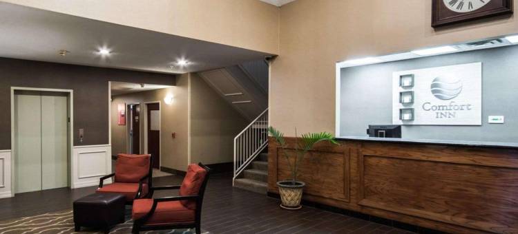 红橡木舒适酒店(Comfort Inn & Suites)图片