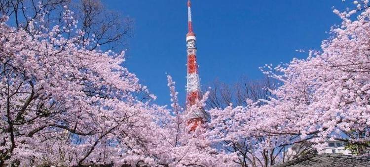 东京华馆(Tokyo Kakan)图片