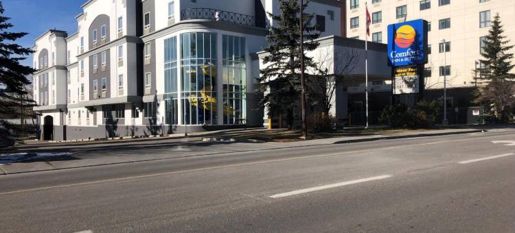 舒适酒店及套房大学(Comfort Inn & Suites University)图片