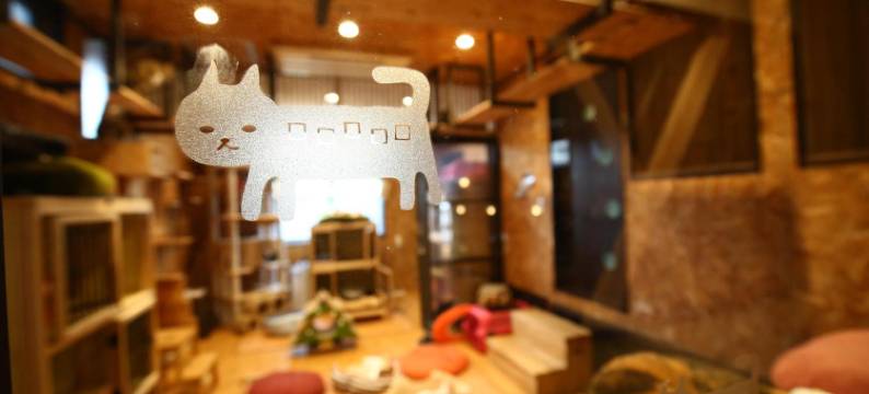 尼克库拉旅舍(Nekokura Hostel)图片