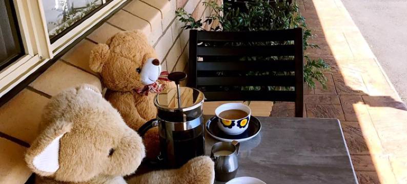 星光汽车旅馆(Starlight Motor Inn)图片