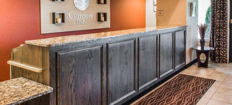 舒适酒店(Comfort Inn)图片