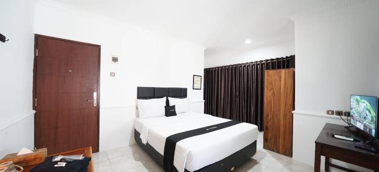 DS CoLive 玛丽娜(DS CoLive Marina)图片