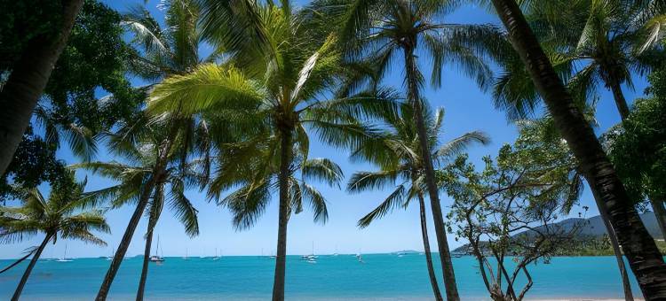 The Hostel, Airlie Beach图片