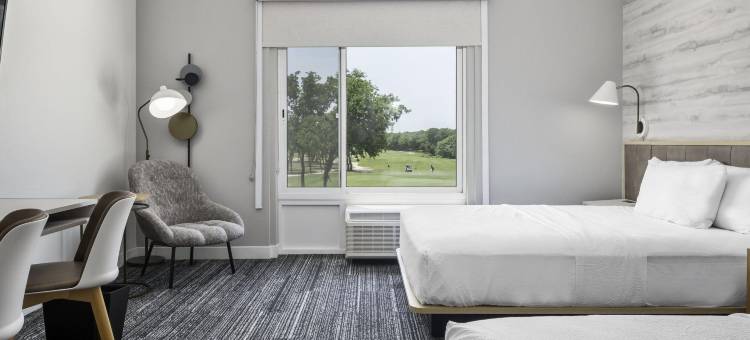 圣安东尼奥环球城/橡树活TownePlace套房酒店(TownePlace Suites San Antonio Universal City/Live Oak)图片