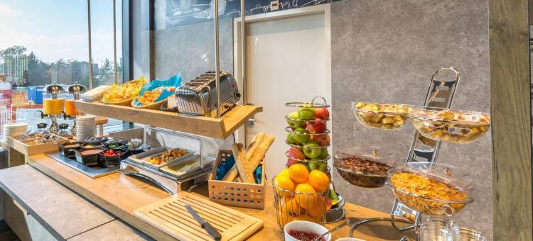 宜必思快捷日内瓦 Palexpo 机场酒店(Ibis Budget Genève Palexpo Aéroport)图片