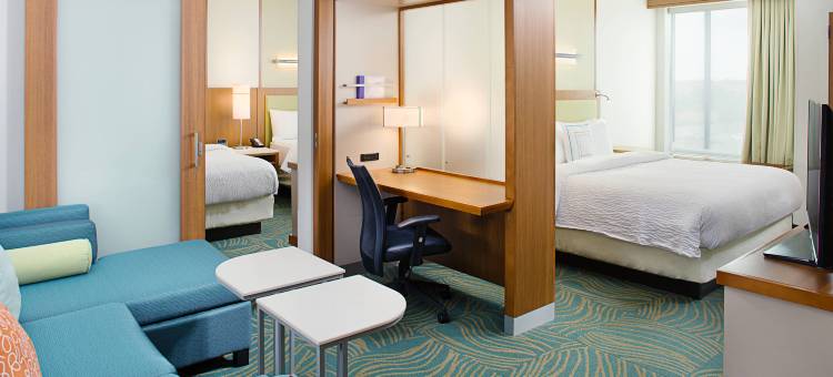 达拉斯路易斯维尔万豪SpringHill Suites 酒店(SpringHill Suites Dallas Lewisville)图片
