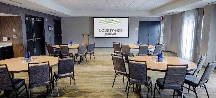 奥尔巴尼克利夫顿公园万怡酒店(Courtyard Albany Clifton Park)图片