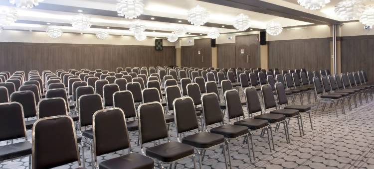 伦敦金士顿皇冠假日酒店(Crowne Plaza London - Kingston)图片