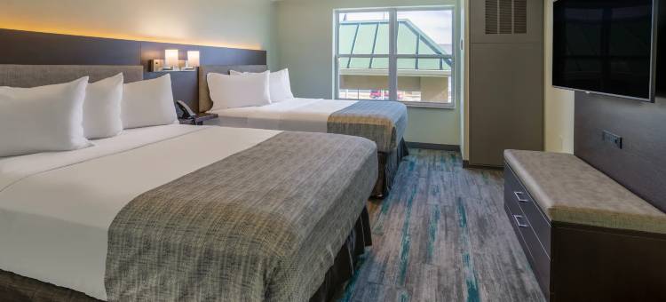 华尔道夫/华盛顿哥伦比亚特区蔚景温德姆酒店(Wingate by Wyndham Waldorf/Washington DC Area)图片