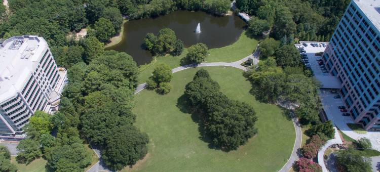 巴克海特雷诺克斯公园Residence Inn 酒店(Residence Inn Atlanta Buckhead/Lenox Park)图片