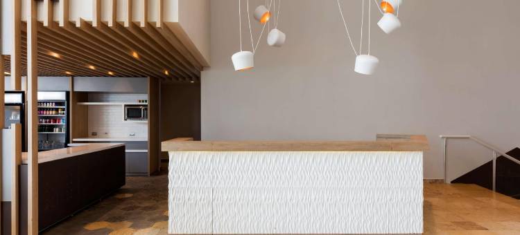 墨西哥城圣达菲希尔顿花园酒店(Hilton Garden Inn Mexico City Santa Fe)图片