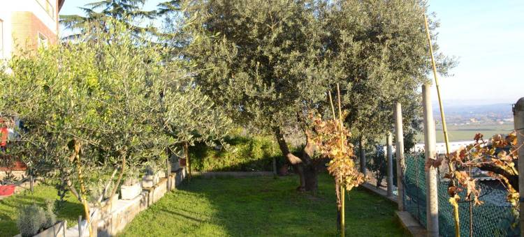 A1吉拉索尔住宿加早餐旅馆(A1 Girasole B&B)图片