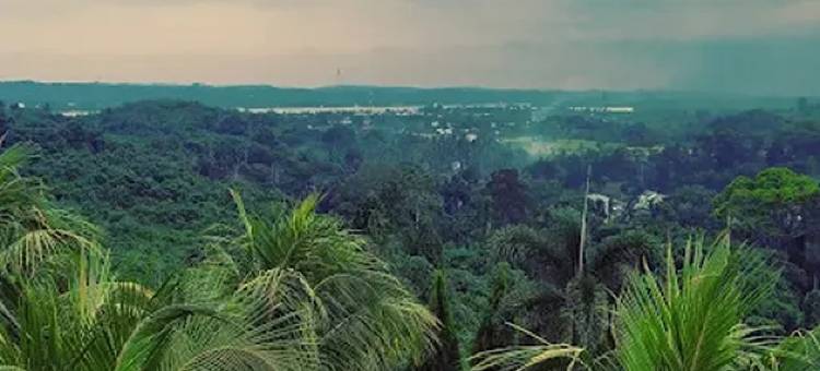 大埃尔蒂酒店(Grand Elty Singgasana Tenggarong)图片