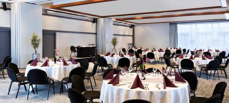 巴黎奥利朗吉斯机场美居酒店(Mercure Paris Orly Rungis Aéroport)图片