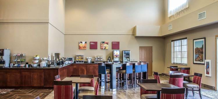 舒适套房酒店-德拉文日内瓦湖区(Comfort Suites Delavan - Lake Geneva Area)图片