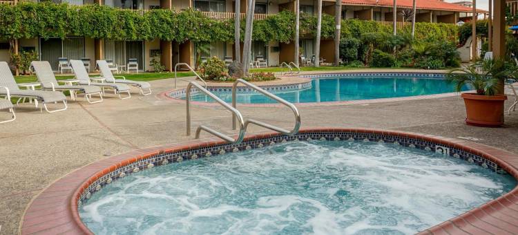 胡椒树贝斯特韦斯特优质酒店(Best Western Plus Pepper Tree Inn)图片