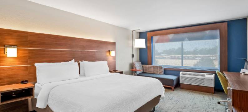 底特律西北智选假日套房酒店-利沃尼亚(Holiday Inn Express & Suites DETROIT NORTHWEST - LIVONIA by IHG)图片