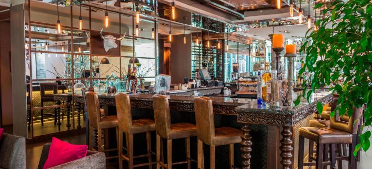 圣地亚哥万丽酒店(Renaissance Santiago Hotel)图片