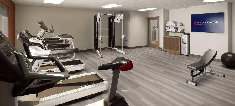 Stafford Suites by IHG图片