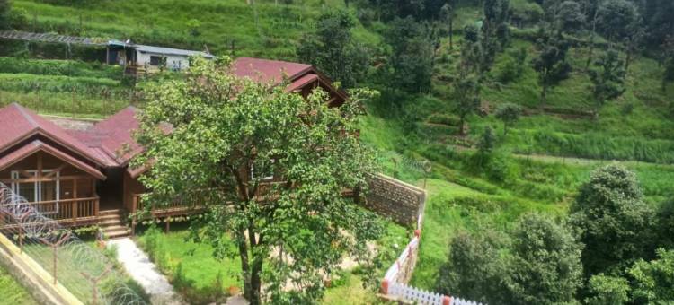 万普拉斯塔度假村(Vanprastha Resorts)图片