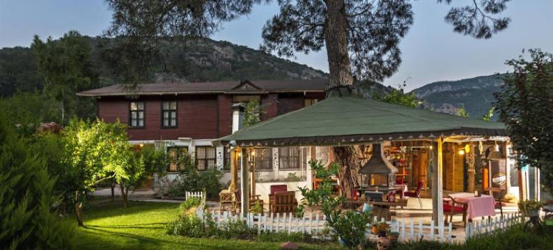考拉简易别墅旅馆(Koala Bungalows)图片