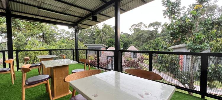 马六甲乐园-第31号生态果园(Play at Lot 31 Eco Orchard Melaka)图片