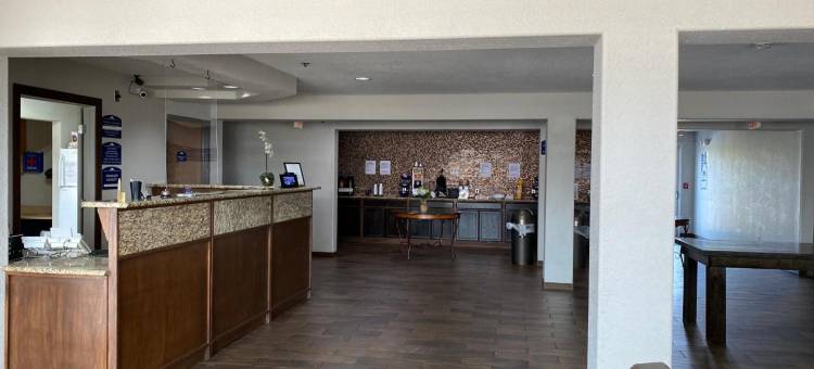 阿德莫尔麦客达套房酒店(Microtel Inn & Suites by Wyndham Ardmore)图片