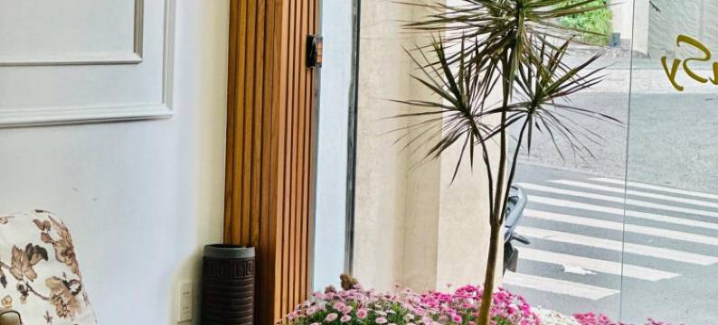 大叻三色堇酒店(Hotel Pansy)图片