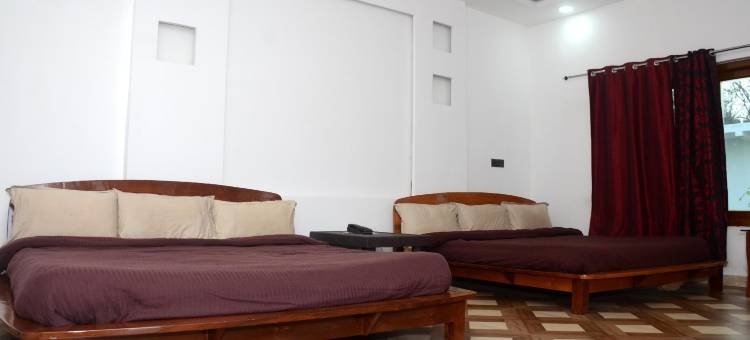 Dtr Jungle Hideaways图片