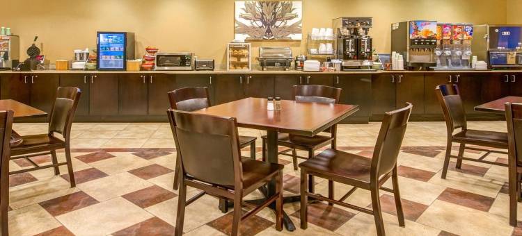 舒适套房酒店-弗赖拉辛东-麦金尼(Comfort Inn & Suites Frisco East - McKinney)图片