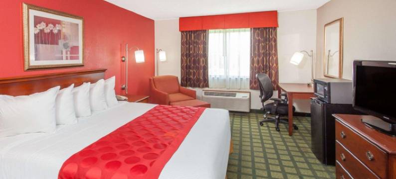 巴撒尔特华美达酒店(Ramada Limited Decatur)图片