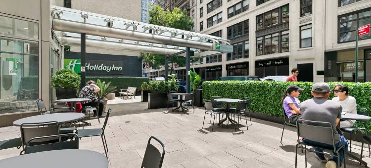 切尔西曼哈顿第六大道假日酒店(Holiday Inn Manhattan 6th Ave - Chelsea)图片