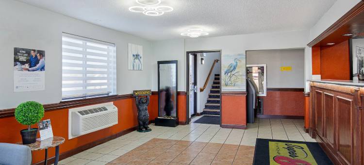 约翰逊城温德姆速8酒店(Super 8 by Wyndham Johnson City)图片