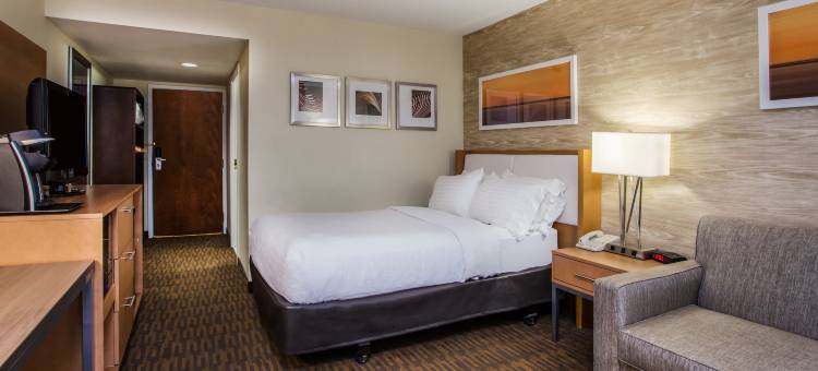 Holiday Inn 萨拉托加温泉(Holiday Inn Saratoga Springs)图片