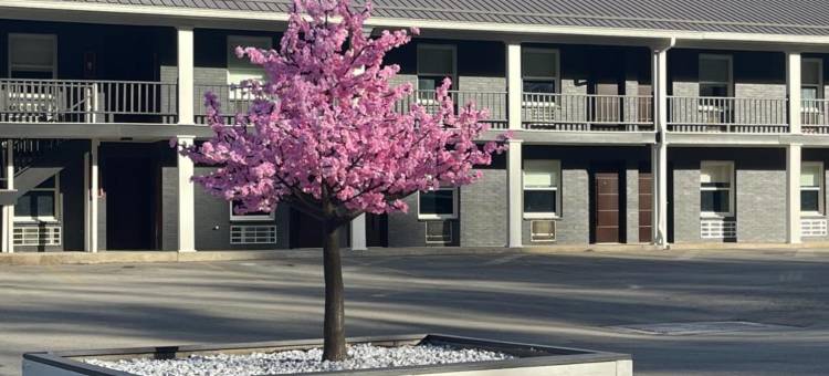 卢克索套房旅馆 - 温德姆旅屋酒店(Luxor Inn & Suites, a Travelodge by Wyndham)图片