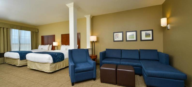 机场-大学舒适套房酒店(Comfort Suites Airport-University)图片