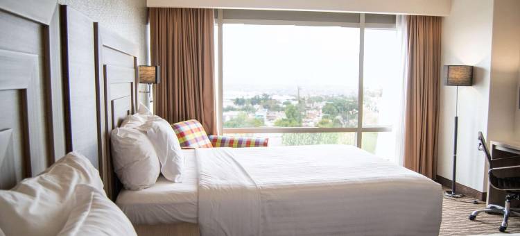 莱昂希尔顿花园酒店(Hilton Garden Inn Leon)图片