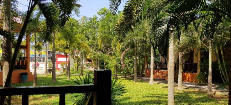 纳拉雅度假村(Naraya Resort)图片