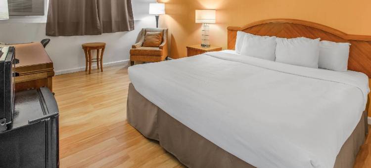 价值住宿旅馆(Value Stay Lodge)图片