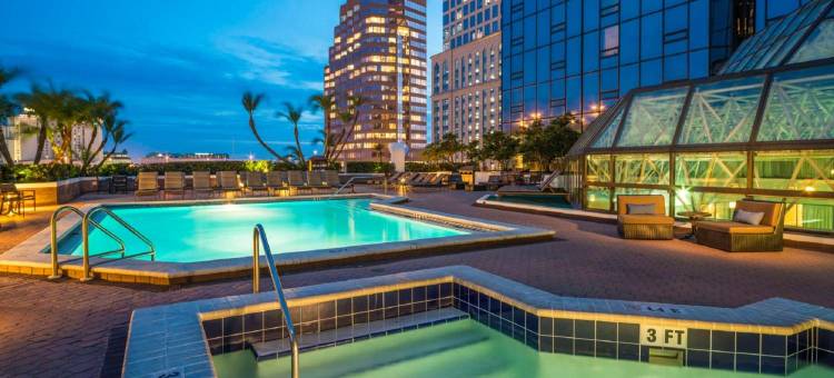 坦帕市中心希尔顿酒店(Hilton Tampa Downtown)图片