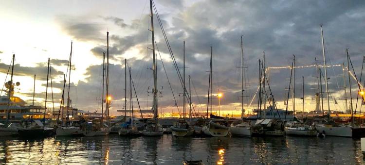 Moana Studio - downtown Papeete - WiFi AC Netflix parking - 3 people图片