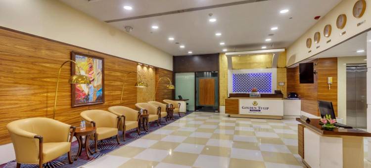 新德里哈里纳加尔金色郁金香酒店(Golden Tulip New Delhi - Hari Nagar)图片