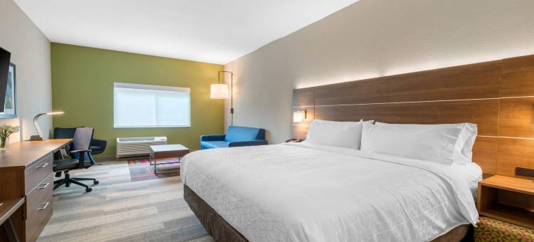 阿拉楚阿盖恩斯维尔地区智选假日套房酒店(Holiday Inn Express & Suites Alachua - Gainesville Area)图片
