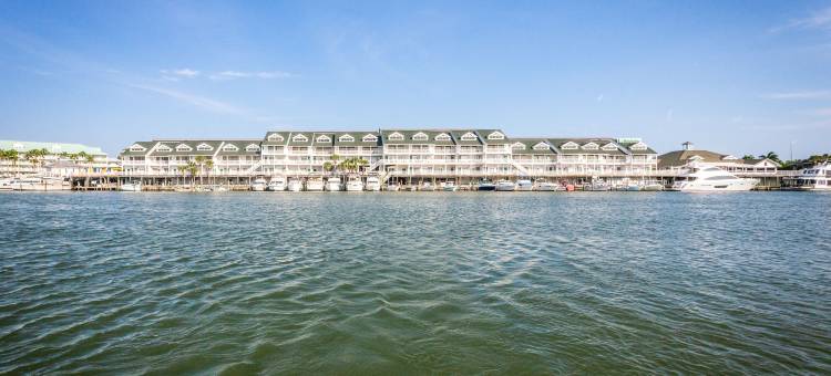 Holiday Inn & Suites 清水湾泳滩南(Holiday Inn & Suites Clearwater Beach S-Harbourside)图片