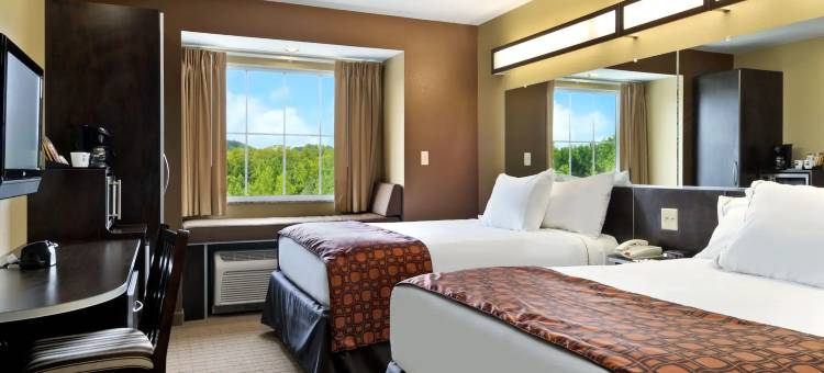 佩里温德姆玛丽埃塔麦客达套房酒店(Microtel Inn & Suites by Wyndham Marietta)图片