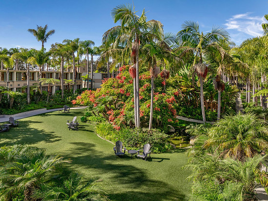 拉霍亚喜来登酒店