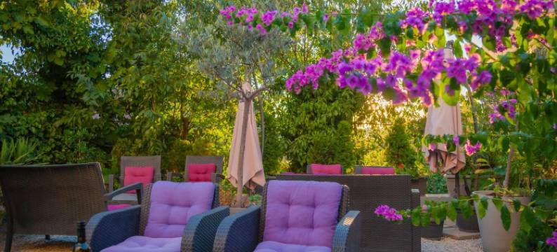 凯普顿埃莫城市公寓(Captain Emo City Apartments)图片